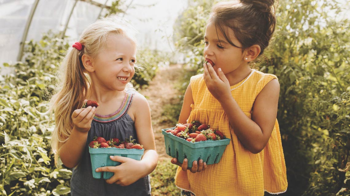 two children enjoying eating strawberries due to Life Time Foundation